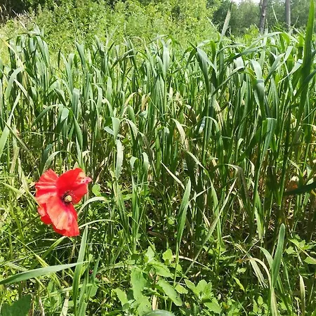 Bij De Lindeboom 別荘 *